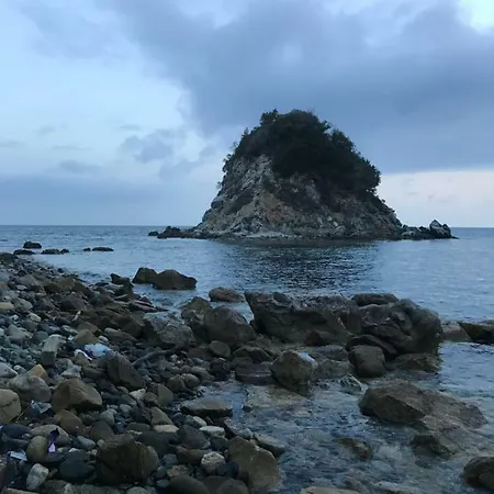 Il Roseto Redinoce * 普罗基奥